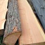 fir half logs